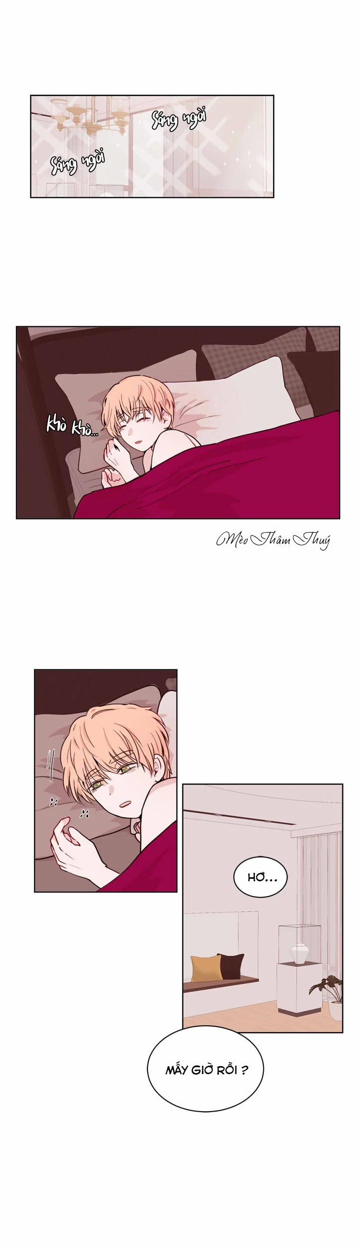 Sếp Tôi Là Tên Bạo Dâm 20 trang 1