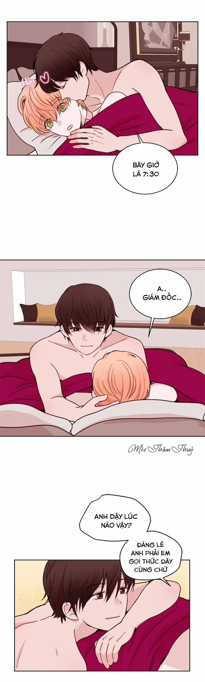 Sếp Tôi Là Tên Bạo Dâm 20 trang 2