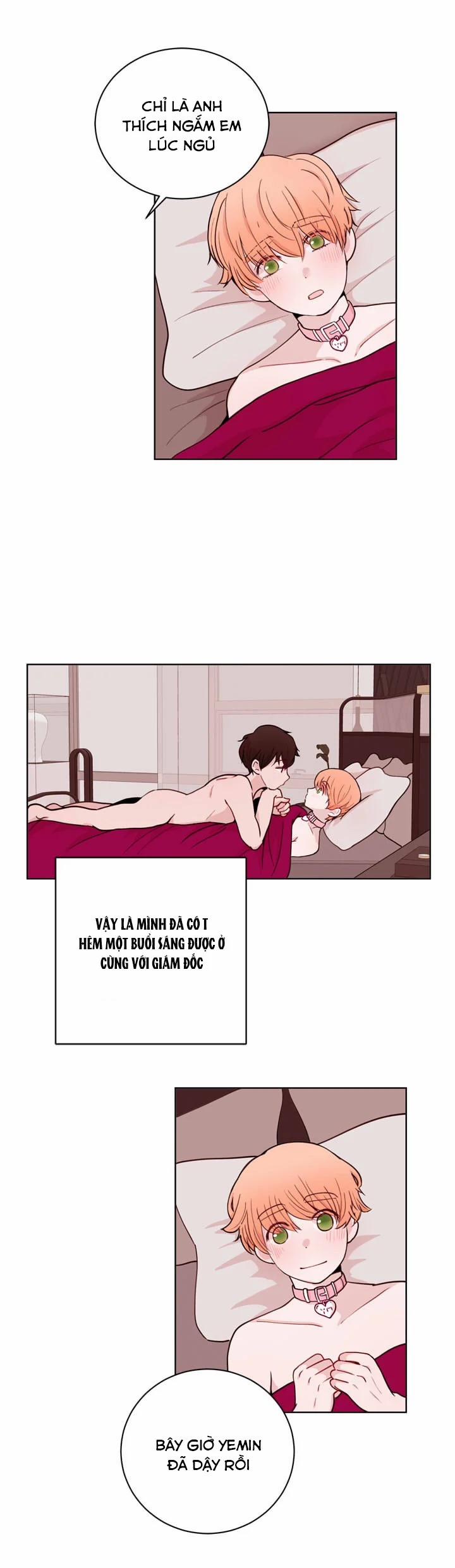 Sếp Tôi Là Tên Bạo Dâm 20 trang 3