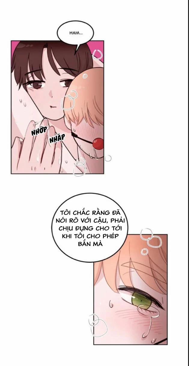 Sếp Tôi Là Tên Bạo Dâm 5 trang 28