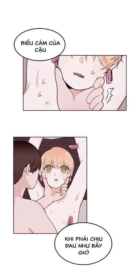 Sếp Tôi Là Tên Bạo Dâm 5 trang 7