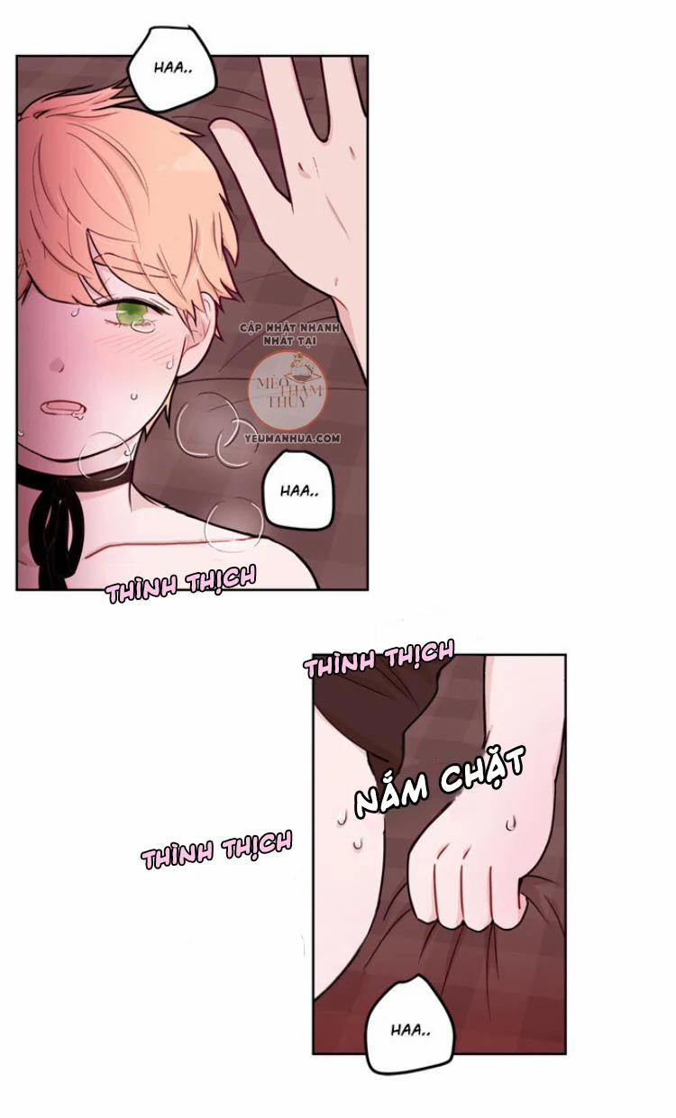 Sếp Tôi Là Tên Bạo Dâm 8 trang 52