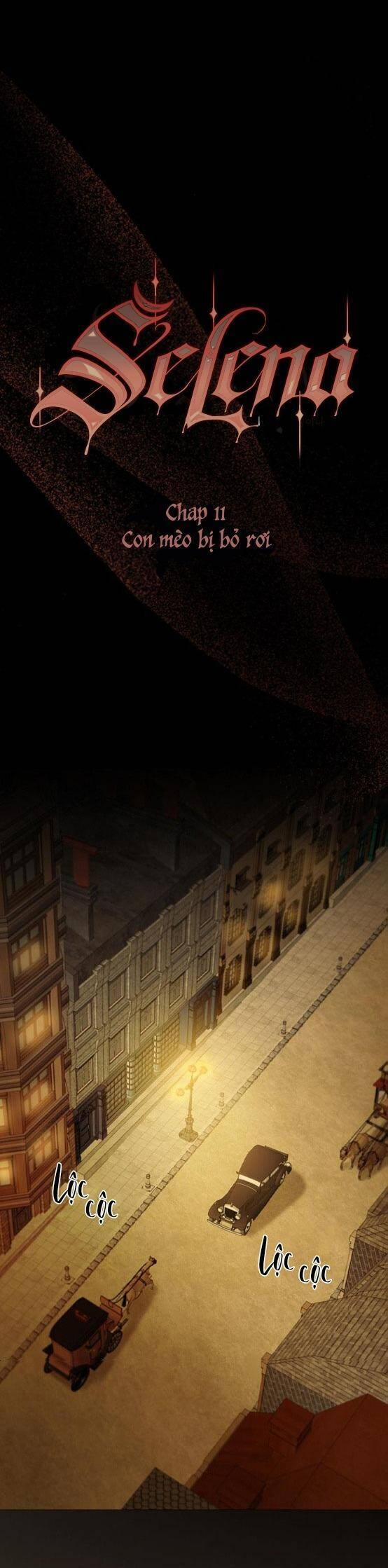 Serena 11 trang 13