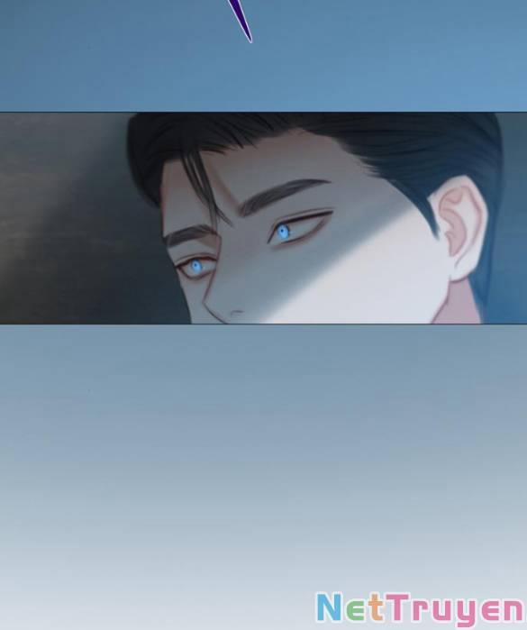 Serena 19.1 trang 20