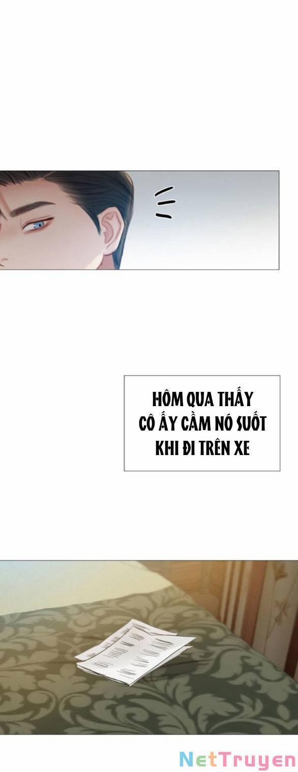 Serena 28.1 trang 11