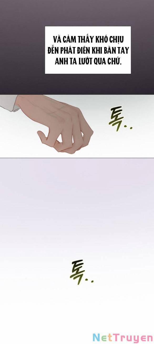 Serena 28.2 trang 16