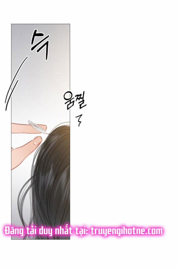 Serena 33.1 trang 13