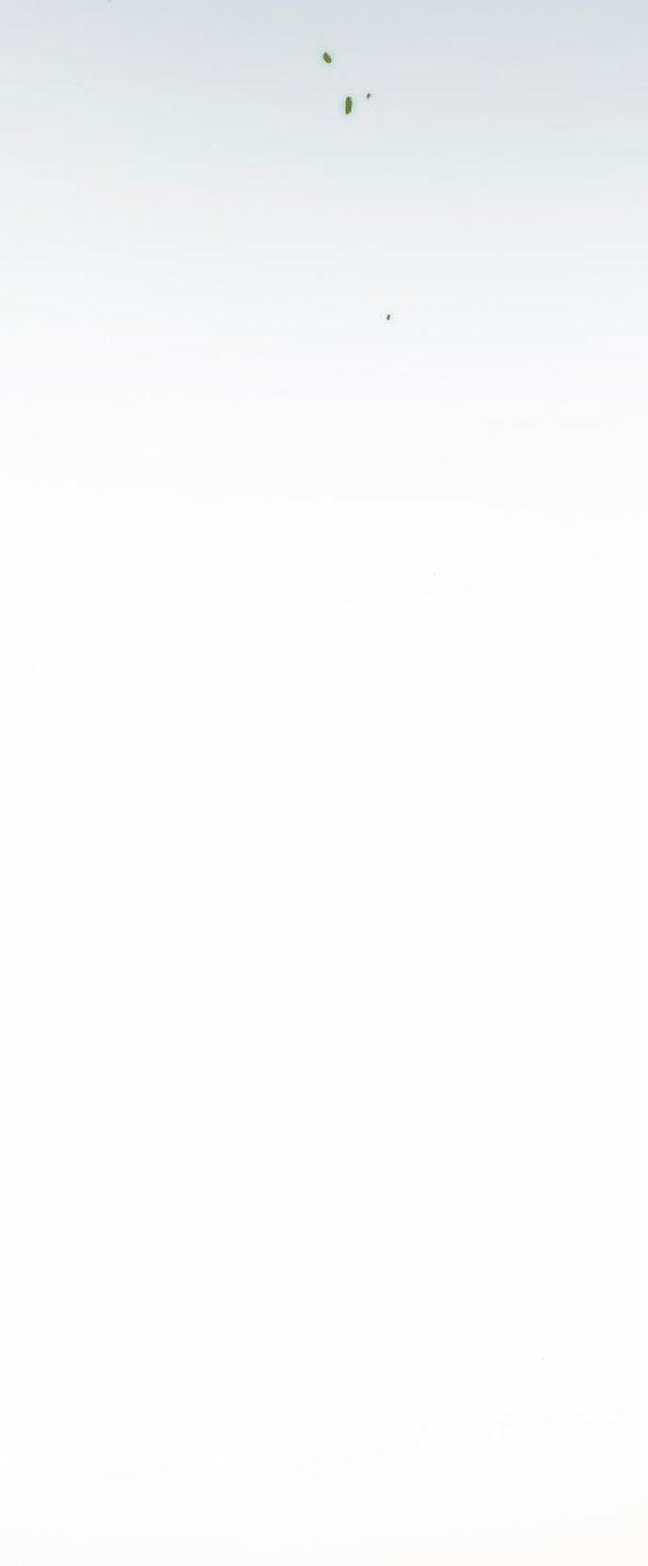 Serena 35.1 trang 49