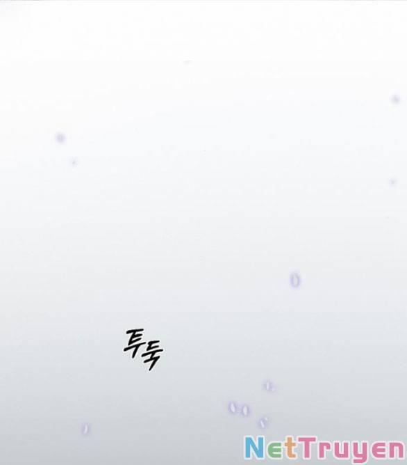 Serena 35.2 trang 10