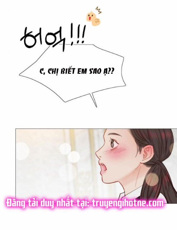 Serena 38.1 trang 46