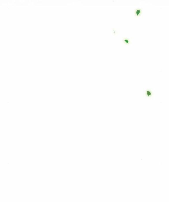 Serena 38.2 trang 35