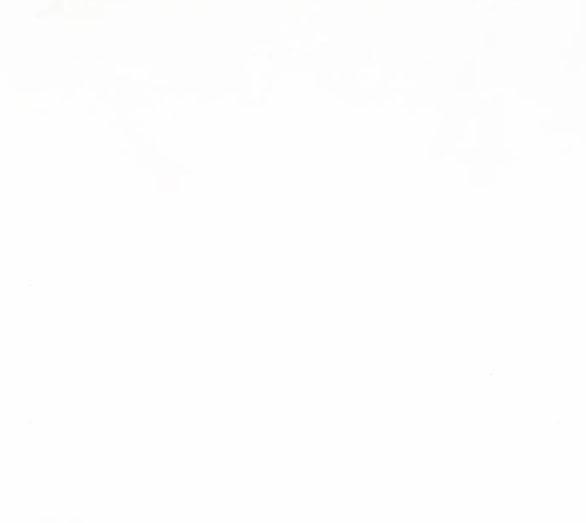 Serena 38.2 trang 63