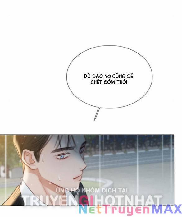 Serena 40.2 trang 31