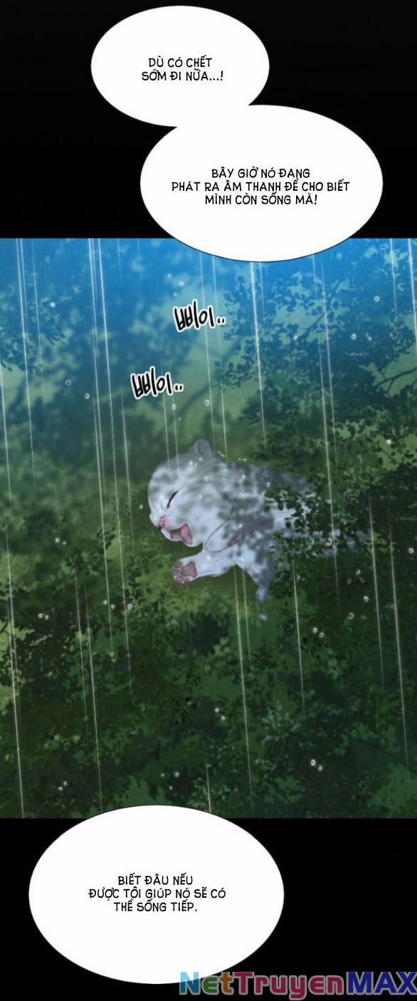 Serena 40.2 trang 40