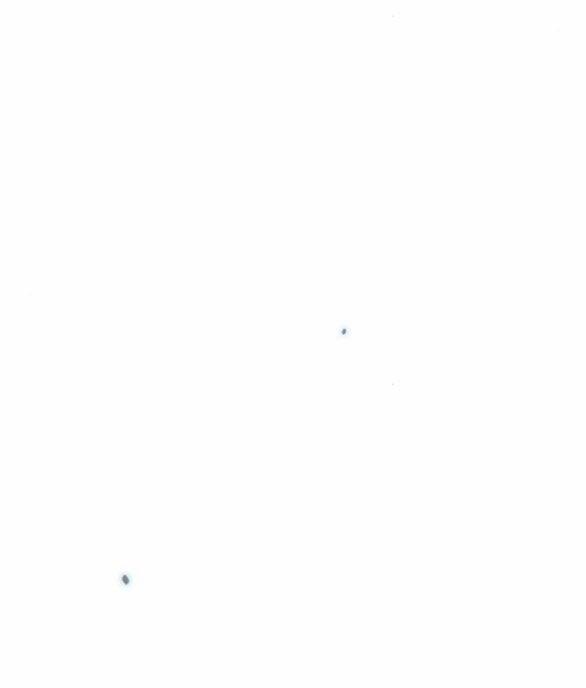 Serena 42.1 trang 64