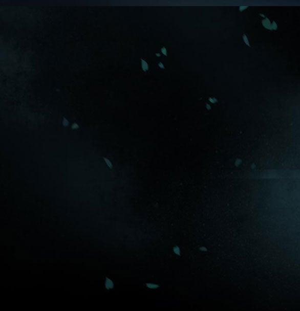 Serena 42.1 trang 74