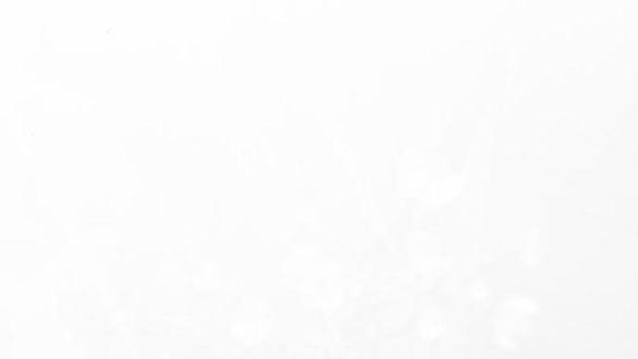 Serena 43.2 trang 29