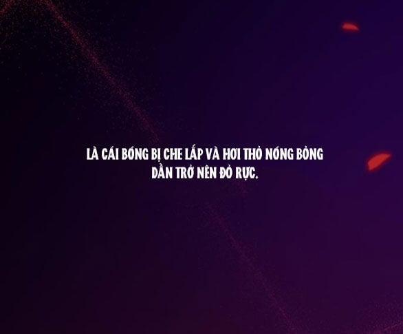 Serena 43.2 trang 48