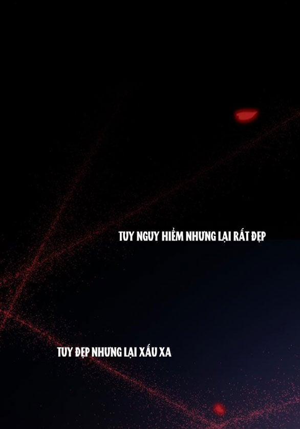 Serena 43.2 trang 53