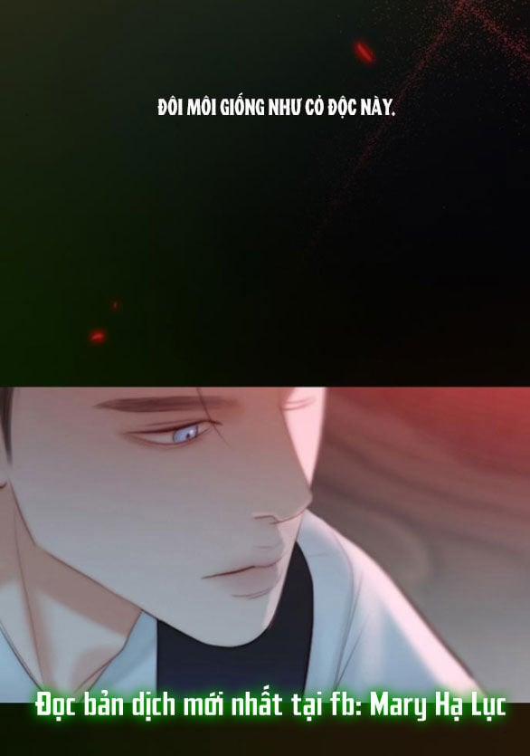 Serena 43.2 trang 55