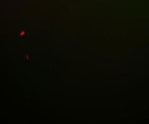 Serena 43.2 trang 58