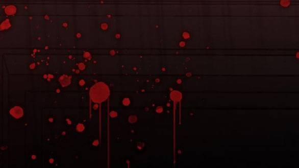 Serena 44.2 trang 54