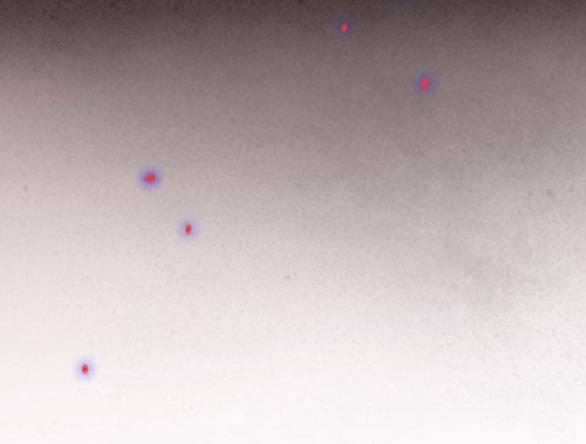 Serena 44.2 trang 71