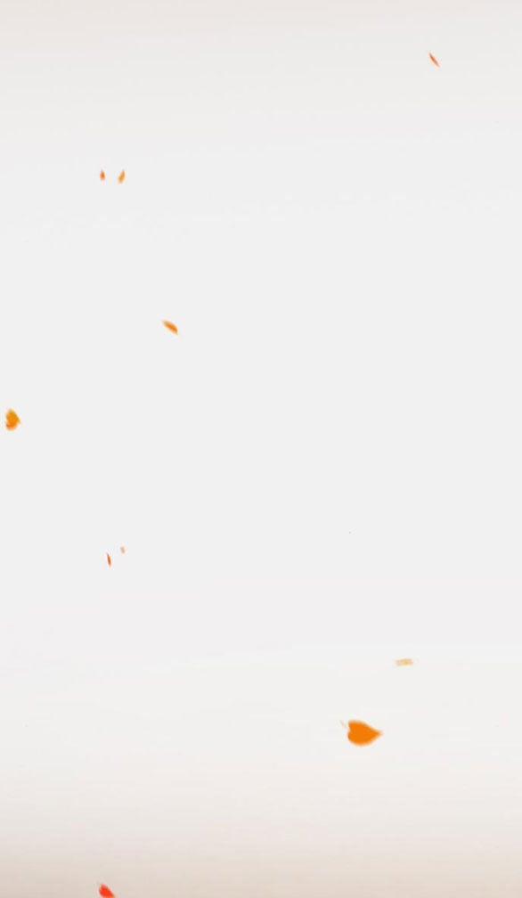 Serena 45.2 trang 14