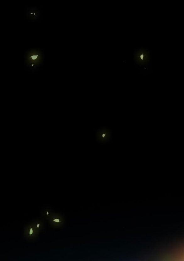 Serena 45.2 trang 26