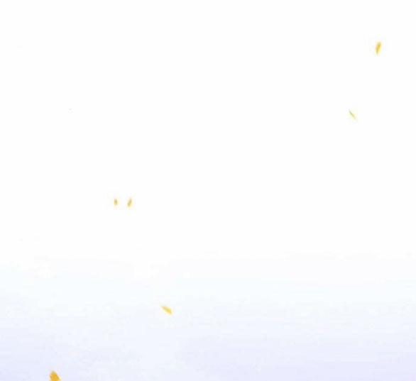 Serena 46.1 trang 52