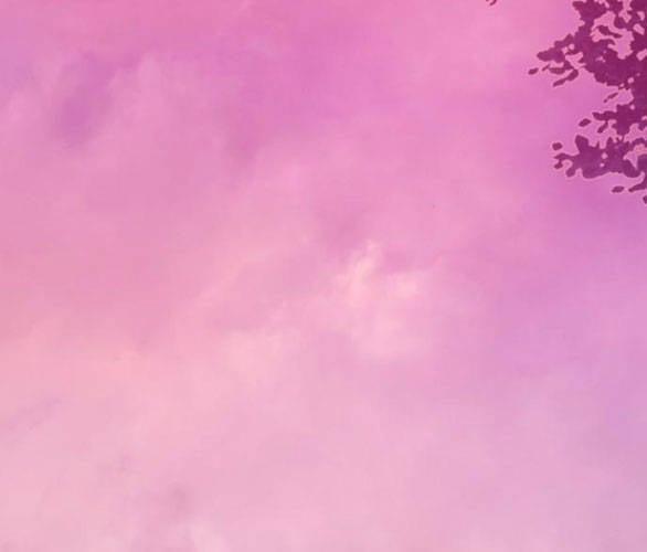 Serena 47.2 trang 43