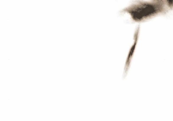 Serena 48.2 trang 61