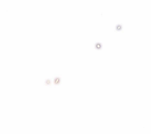 Serena 49.1 trang 26