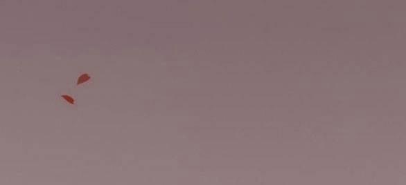 Serena 49.2 trang 20