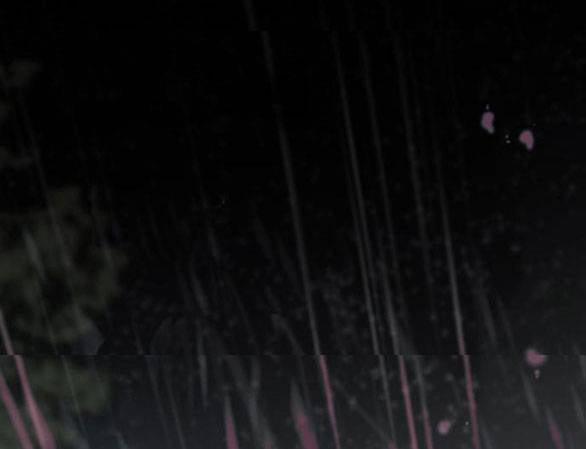 Serena 50.1 trang 29