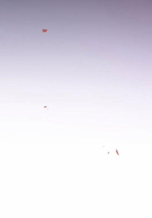 Serena 52.1 trang 24