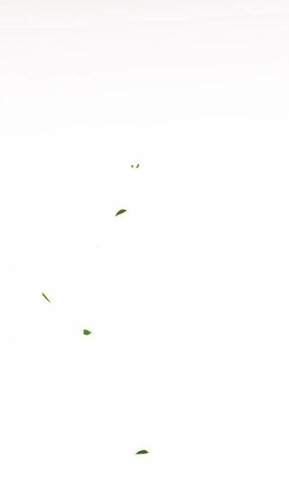 Serena 52.2 trang 29