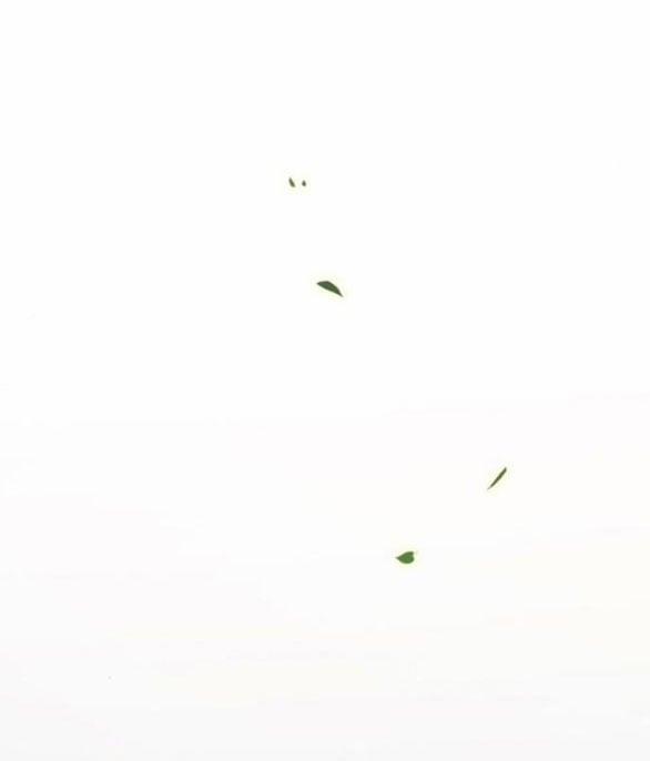 Serena 52.2 trang 31