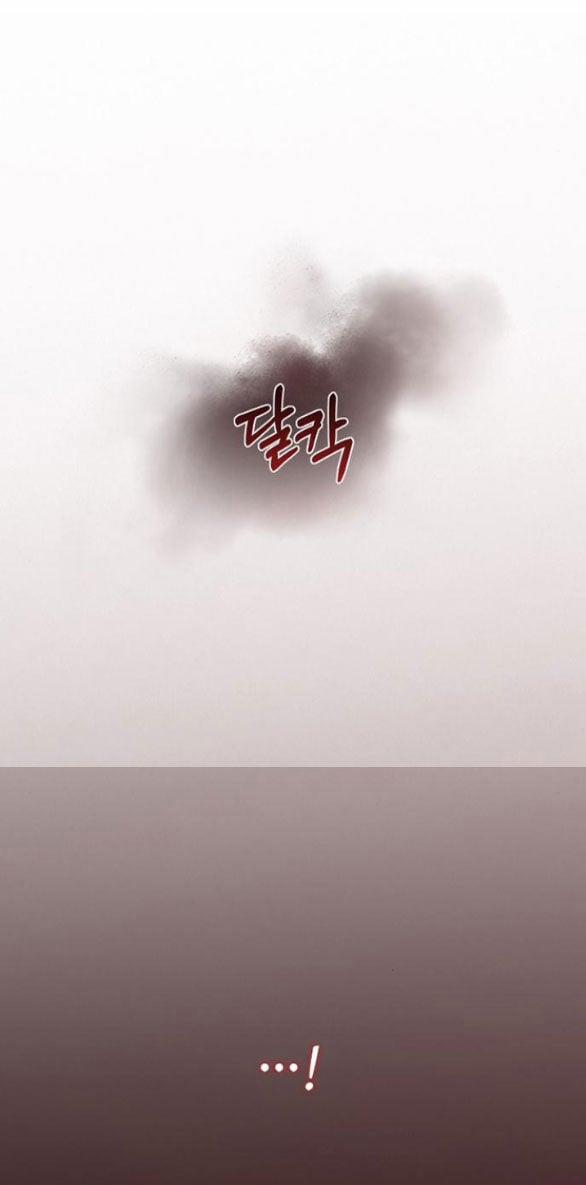 Serena 55.2 trang 20