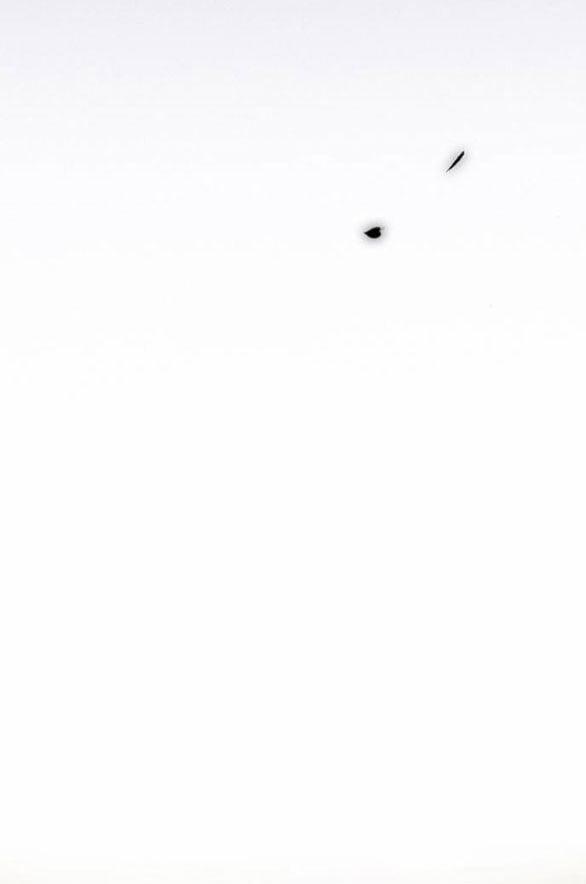 Serena 55.2 trang 26