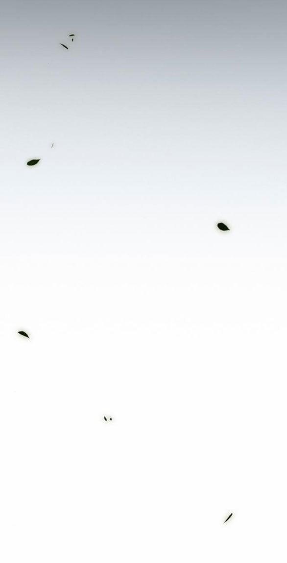 Serena 57.1 trang 27