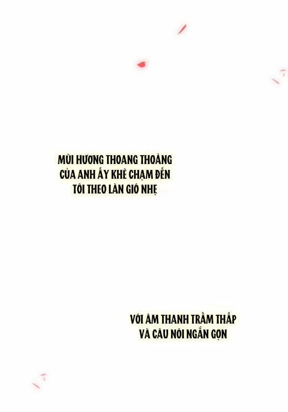 Serena 65.2 trang 15