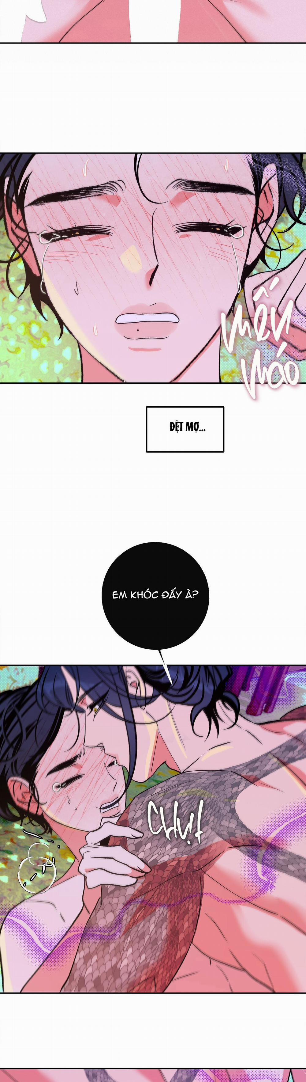 Series Back Stage 6.2 trang 20