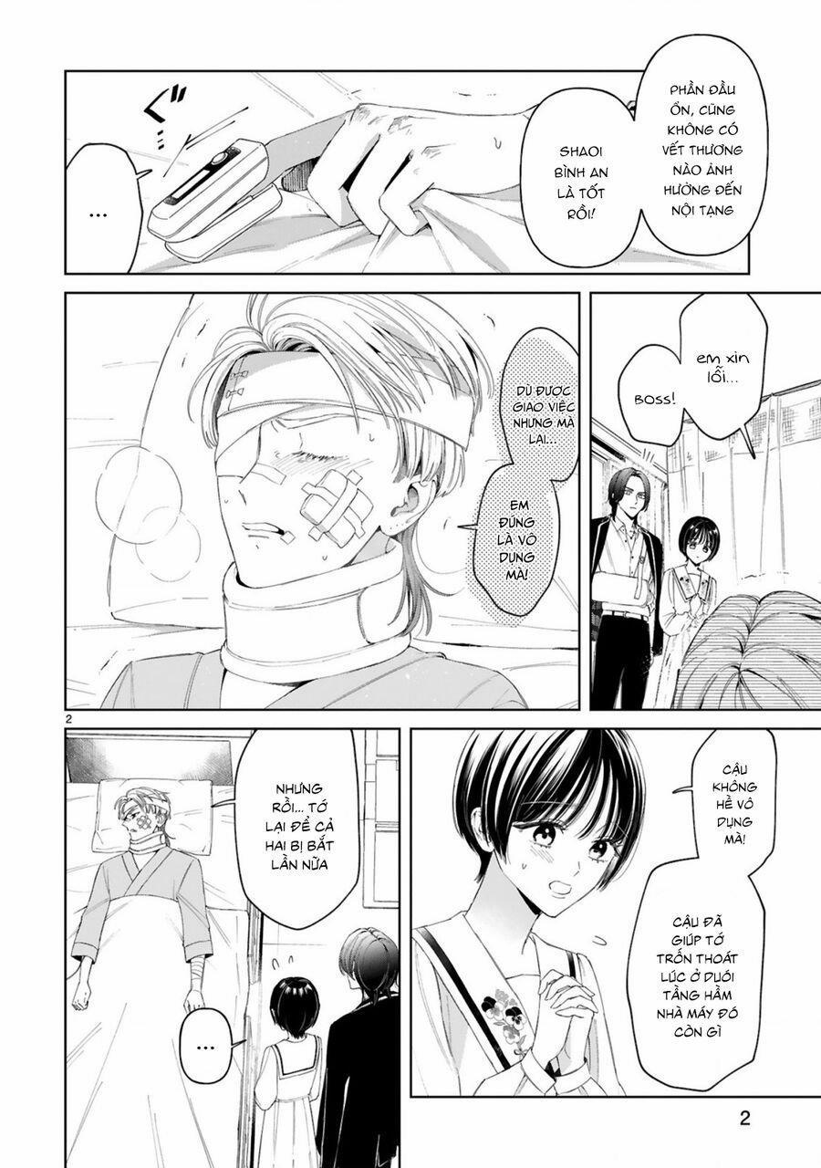 Sewayaki Mafia To Hakkou Shoujo 12 trang 2