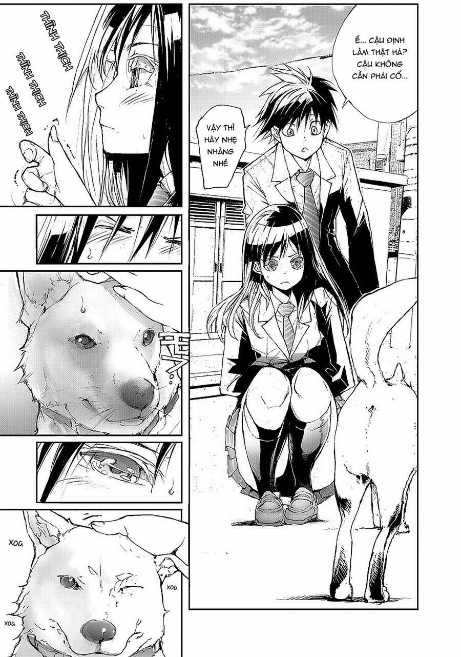 Shed! Ryugasaki-San 52 trang 4