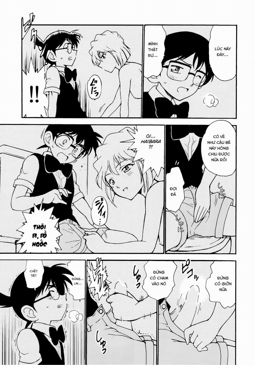 Sherry my love (Detective Conan) Oneshot trang 12