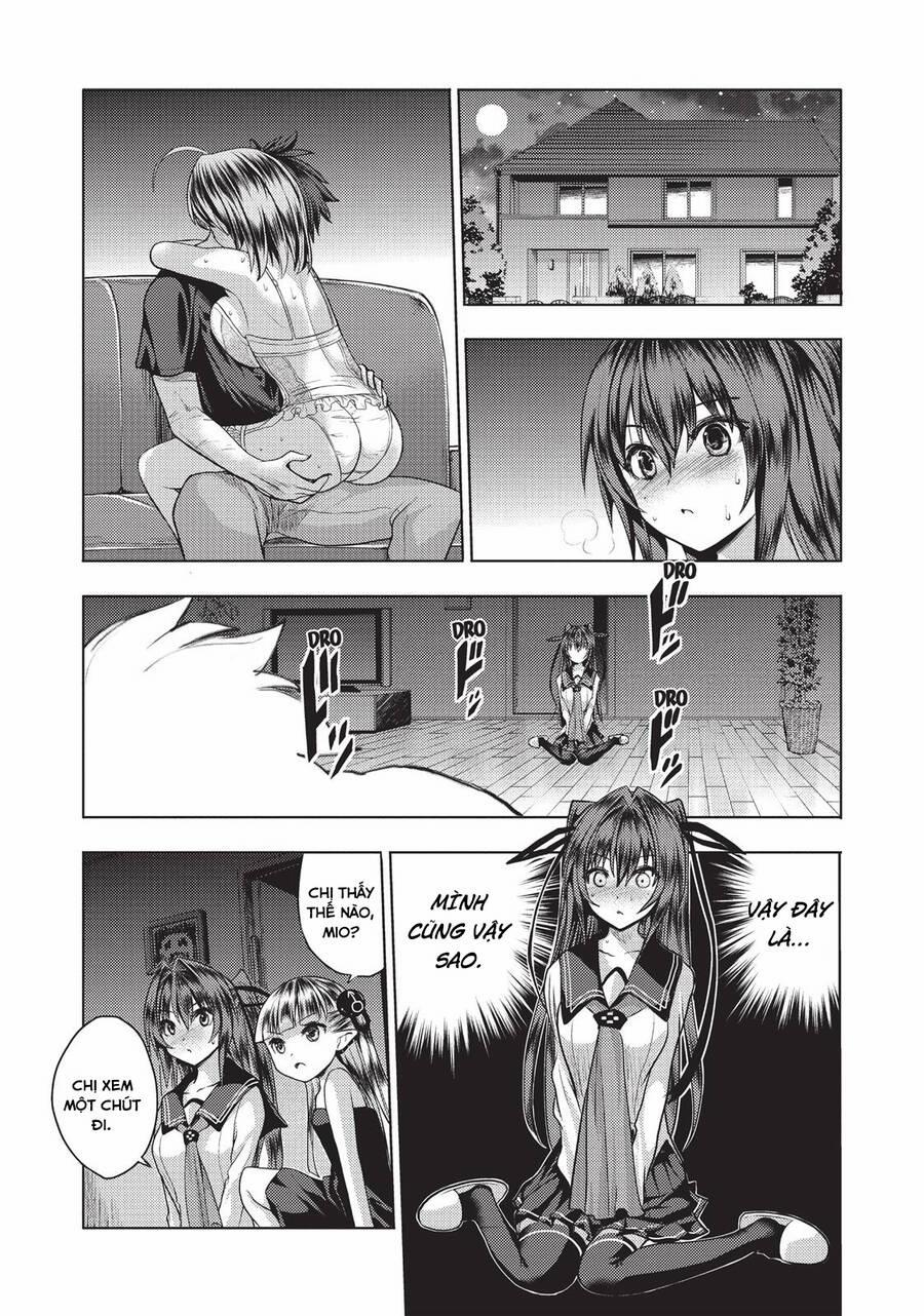 Shinmai Maou No Keiyakusha 25.5 trang 10