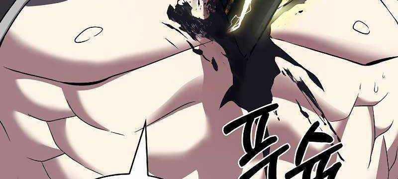 Shipper Đến Từ Murim 53 trang 304