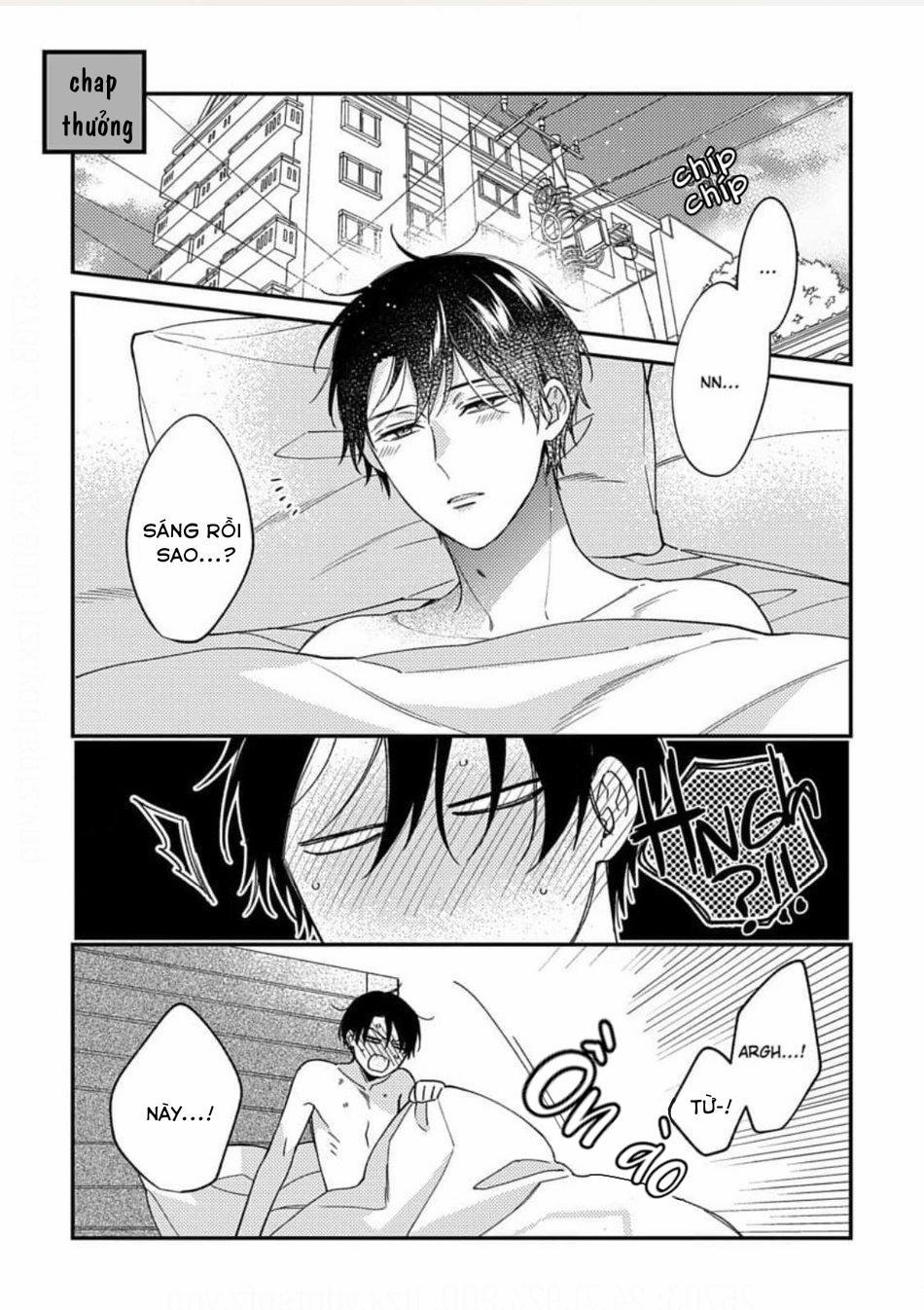 [Shiramatsu] Hatsujou Playroom 6 trang 35