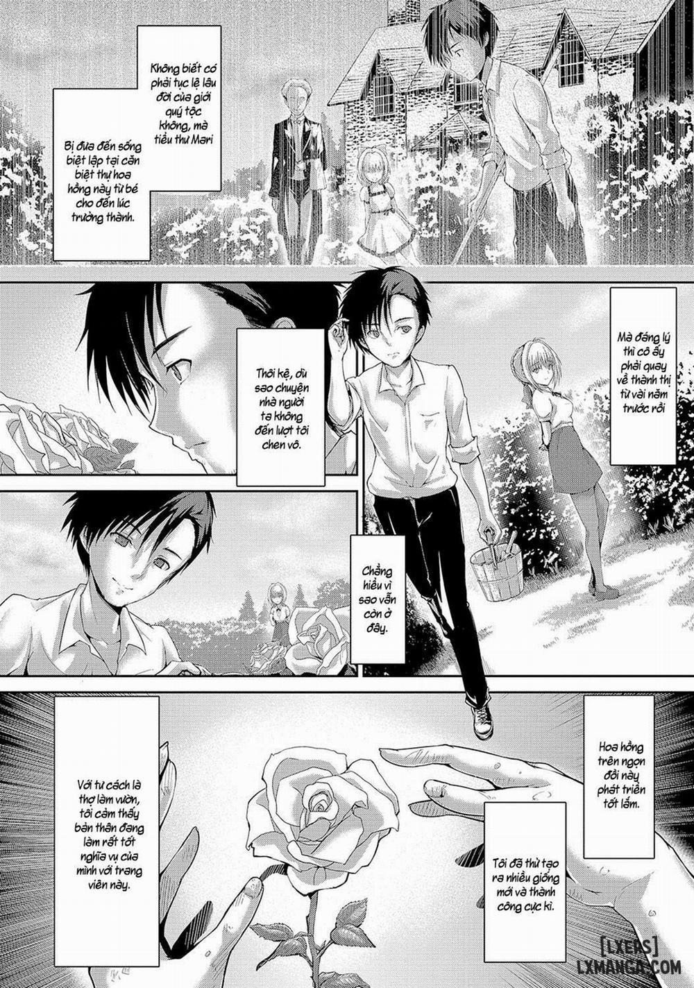 Shoujo Mysterica 5 trang 1